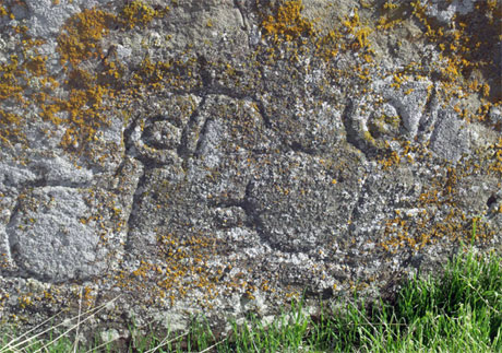 crome island petroglyphs.jpg