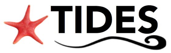TIDES Flyer for 2017-2018 year.jpg