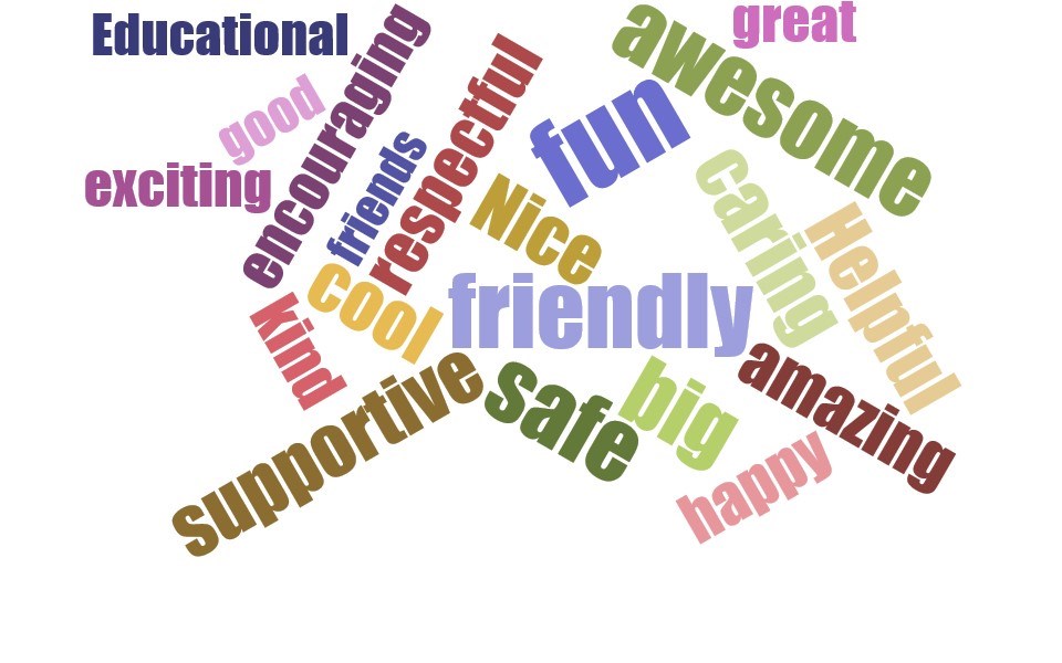 SES Wordle for website.jpg